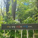 내 마음속 작은 다락방 | 꿈꾸는 다락방 후기, 20년 후 다시 읽고 깨달은 꿈 이루는 방법