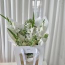 올로르플라워OlorFlower 이미지