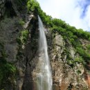 현 소프트 이미지