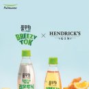 샘물 이미지