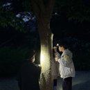 경기도 키즈캠핑장 에코유 5년째 방문후기 내돈내산