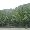 남구-106 이미지