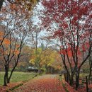 치악산매표소_신흥동화장실 | 치악산 구룡사,가을 단풍에 물든 고즈넉한 사찰 여행