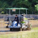 능주농협 이미지