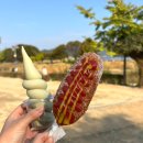 연소프트 | • 양수리 두물머리 : 양평 가을 나들이 연핫도그 연잎아이스크림 후기