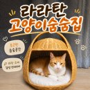우리고양이 | 고양이숨숨집 라라탄 바스켓으로 완성한 우리 집 고양이 아늑한 휴식 공간 후기