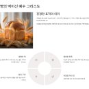 보리떡다섯개물고기두마리 | 보리떡 다섯개와 물고기 두마리의 기적-요한복음6장1-14절