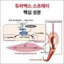 프라임약국 | 약국 조루 스프레이 효과 주의사항 진짜후기