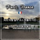 아침풍경 | 프랑스 파리 자유여행 튀를리 가든 아침 풍경