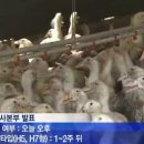 동림축산 이미지