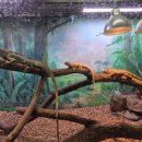 서천생태공원 이미지