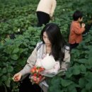 민호농장 이미지