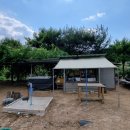 행복나무공인중개사사무소 이미지