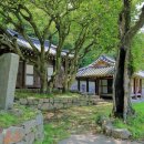 진도칠전리학계철비 이미지