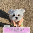 오동농장 이미지