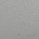 하프베이크드 이미지