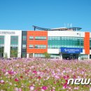 조양디엠