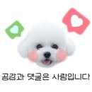 본미당 이미지