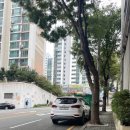 일신 노래연습장 네이버블로그