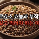 파로효소 효능과 부작용, 제대로 알고 드셔야 해요!! 이미지