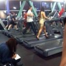 예쁜돼지 이미지