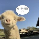 더 하우스 | 천안아산 웨딩 스튜디오 [수이더하우스] : 계약후기