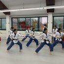 포천 한국 태권도장 이미지
