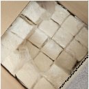 관악장애인종합복지관 | 단단플란트치과, 관악구장애인종합복지관 초청 강연