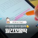 꼬물딱 | 바쁜 일상 속 멘탈 케어, 월간 꼬물딱 솔직 후기