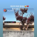 산수살롱