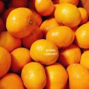 마소물로8번길 이미지