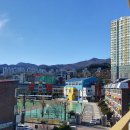 삼척세무서태백지서 이미지