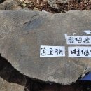 변성남 Daum카페