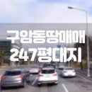 구암동247 이미지