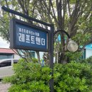 레프트핸더게스트하우스 | [제주도 동쪽 게스트하우스] 레프트핸더 게스트하우스 후기