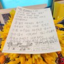 번암초등학교 이미지