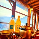 참빛자연농원민박 | 사천시 감성펜션 TOP 3 반려견 동반 가능한 곳 비교 후기 많은 곳