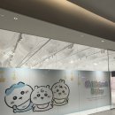 만작 | 더현대서울 치이카와베이비 팝업 정보 및 사전예약 첫날 방문 후기!