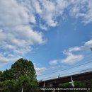 메르카바 MK 사고수리 | 덥고 힘들어도 열심히 다니는 6월 일상