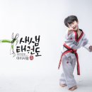 새샘태권도 이미지