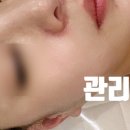 링크 에스테틱