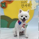 사계절, 멍 이미지