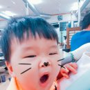또고기 이미지