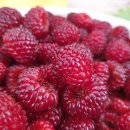 플러스농장2 이미지