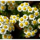 한율농원 이미지