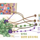 브레인온 이미지