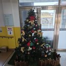 고아초등학교 이미지