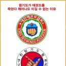 강한 태권도 이미지