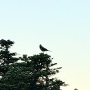 설악 4암자&amp;공룡 따라가보았습니다 이미지