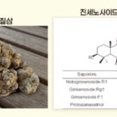 디알에스